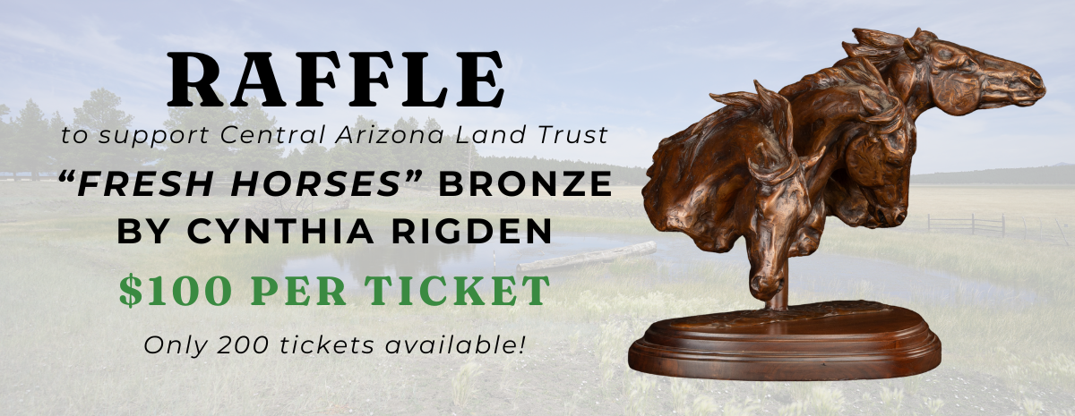 Fresh Horses Bronze Raffle Tickets